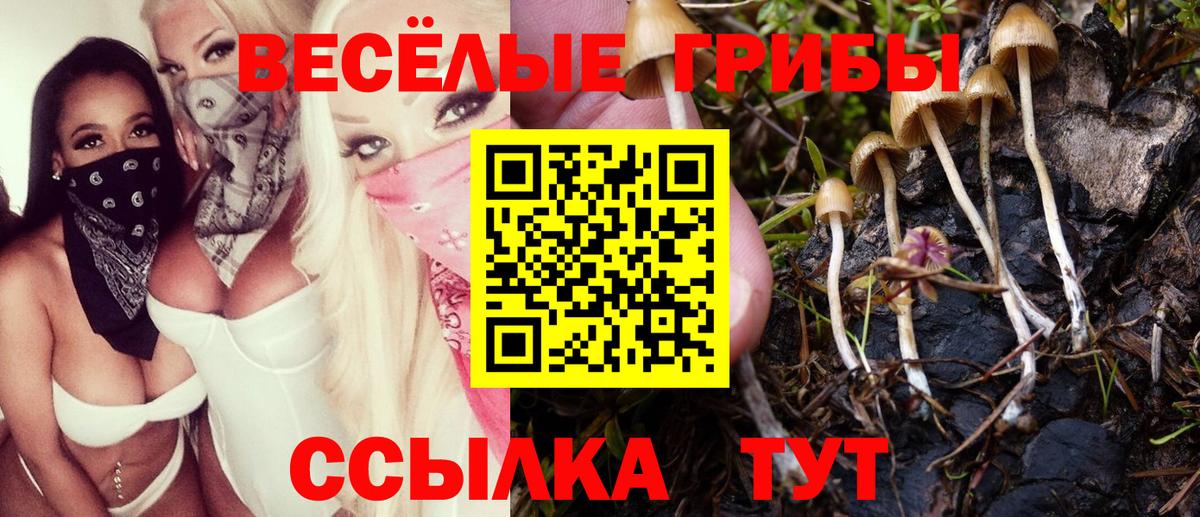 Джанкой  Псилоцибиновые грибы Psilocybe  Вход с VPN 
